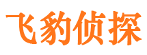 文县市调查公司